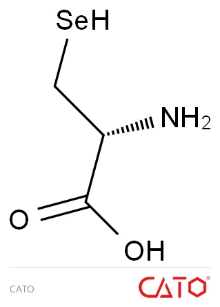 Chemical structure of L-Selenocysteine